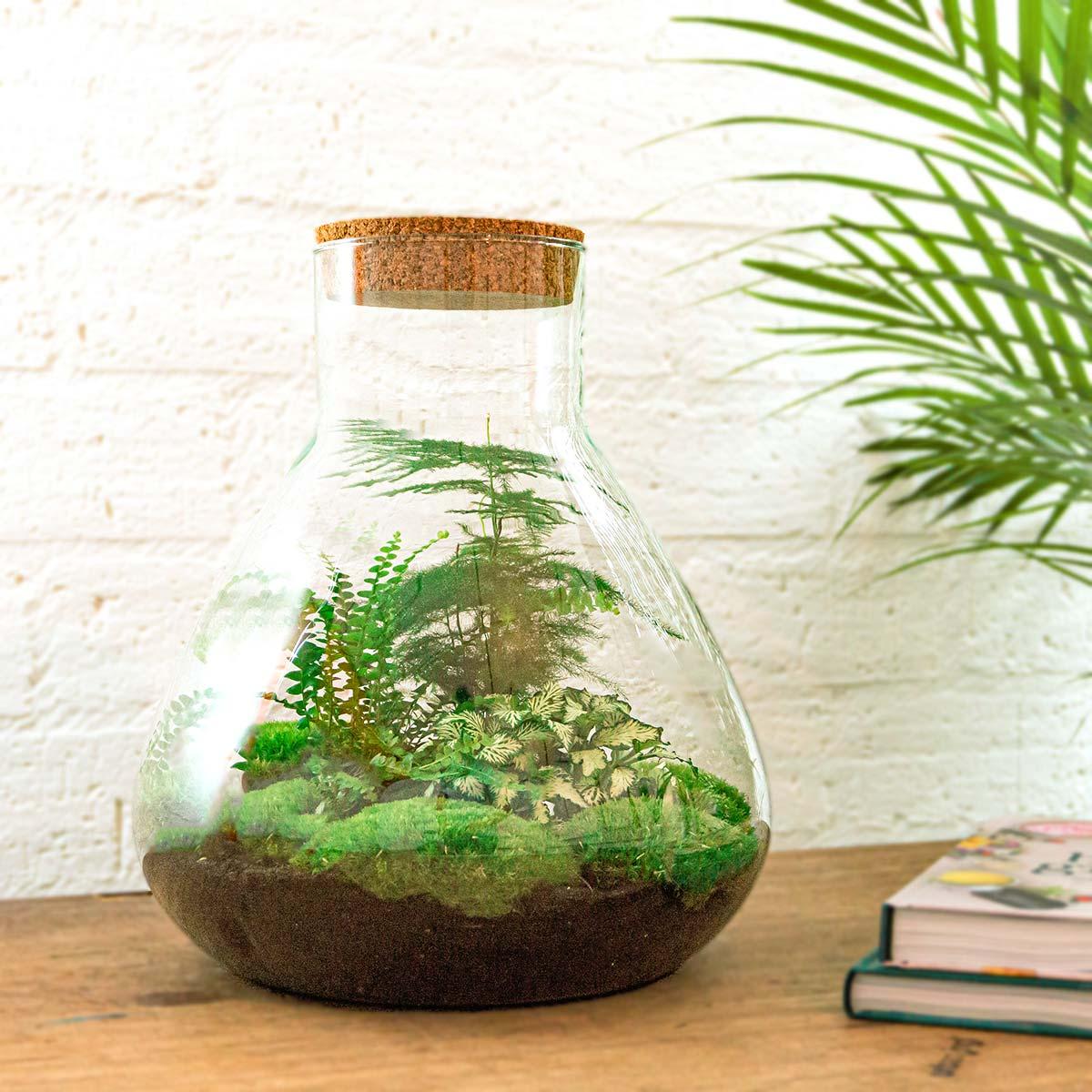 Terrariums